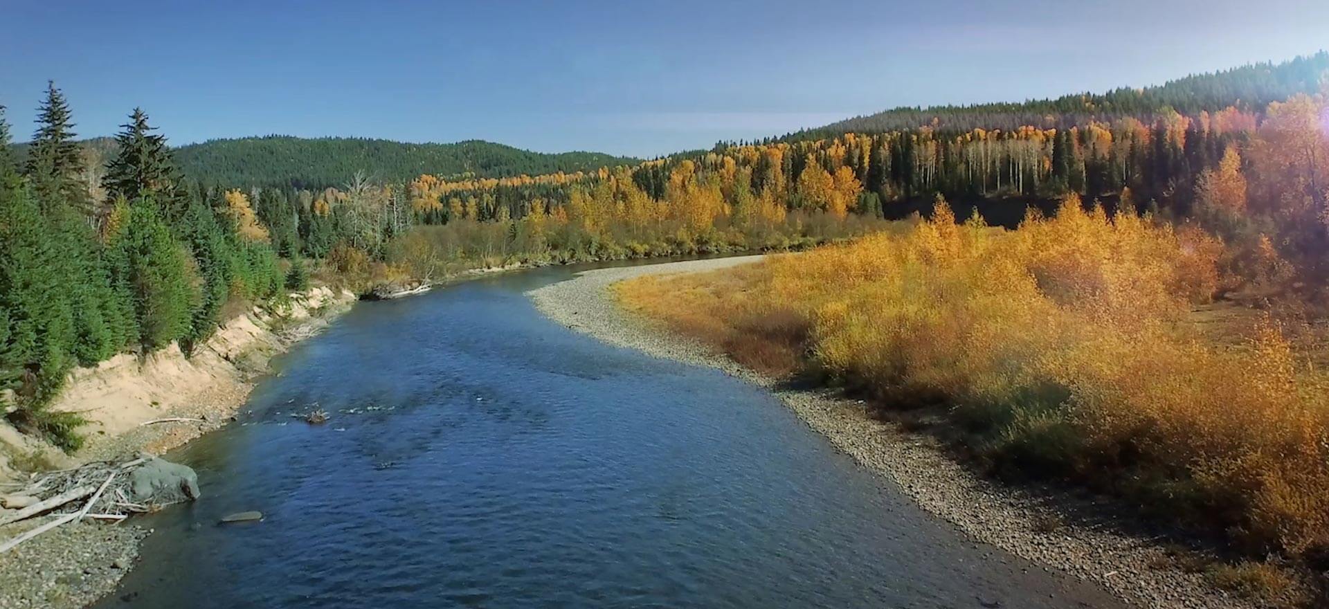 Horsefly River Rainbow Trout - Freshwater Fisheries Society of BC